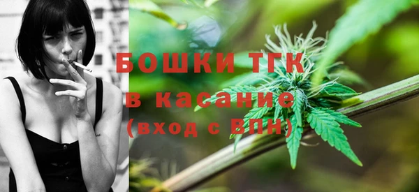 стафф Осташков