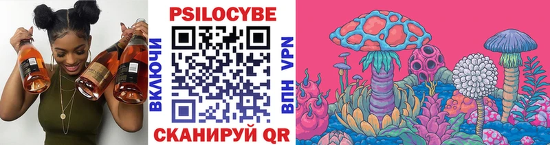 купить закладку blacksprut зеркало Галлюциногенные грибы мухоморы Плёс